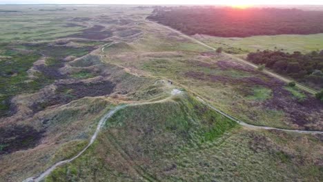 Aerial-Shot-of-Spidsbjerg-Hill-on-Romo-Island-in-Denmark-at-Sunset