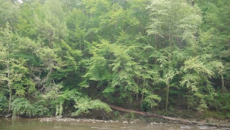 Wissahickon-Creek-flows-over-rocks,-stones,-trees-in-background