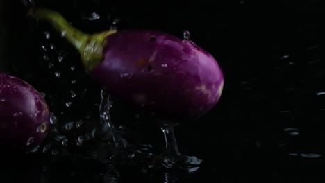 Three-eggplants-fall-into-frame-splashing-shallow-water-on-a-black-background