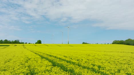 Aerial-establishing-view-of-wind-turbines-generating-renewable-energy-in-the-wind-farm,-blooming-yellow-rapeseed-fields,-countryside-landscape,-sunny-spring-day,-low-drone-dolly-shot-moving-right