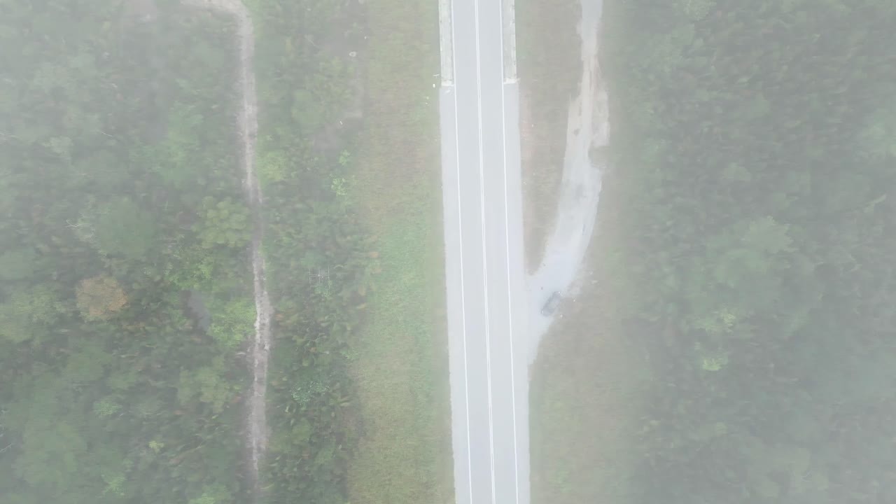 아리엘 드론 뷰 안개가 가득한 아침 해가 지고 푸른 숲이 세메파디 해안 도로 링크 사라와크, 보르네오에 있습니다.