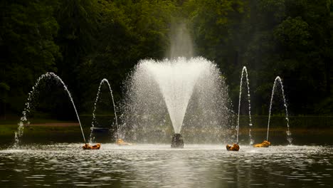 beautiful fountain in a pond