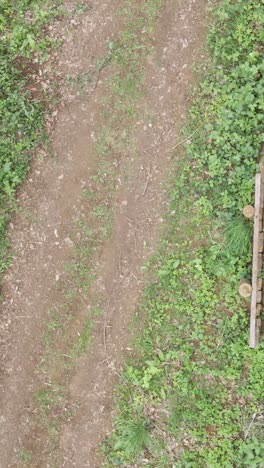 Drone-Vertical-Video-Tracking-Man-On-Mountain-Bike-Cycling-Doing-Mid-Air-Jump-On-Trail-Through-Woodland