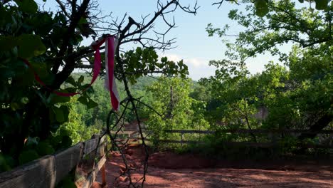 Cinta-De-Señalización-Ondeando-Con-La-Brisa-En-El-Parque-Estatal-Providence-Canyon-En-Georgia-Lumpkin