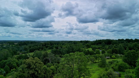 La-Antena-Hacia-Arriba-Desde-Un-árbol-Solitario-Revela-Un-Paisaje-Natural-Verde-Y-Exuberante