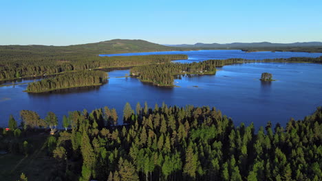 Panorama-Del-Exuberante-Bosque-Junto-Al-Río-Tranquilo-En-El-Municipio-De-Vansbro,-Condado-De-Dalarna,-Suecia-Con-Cielo-Azul-En-El-Fondo