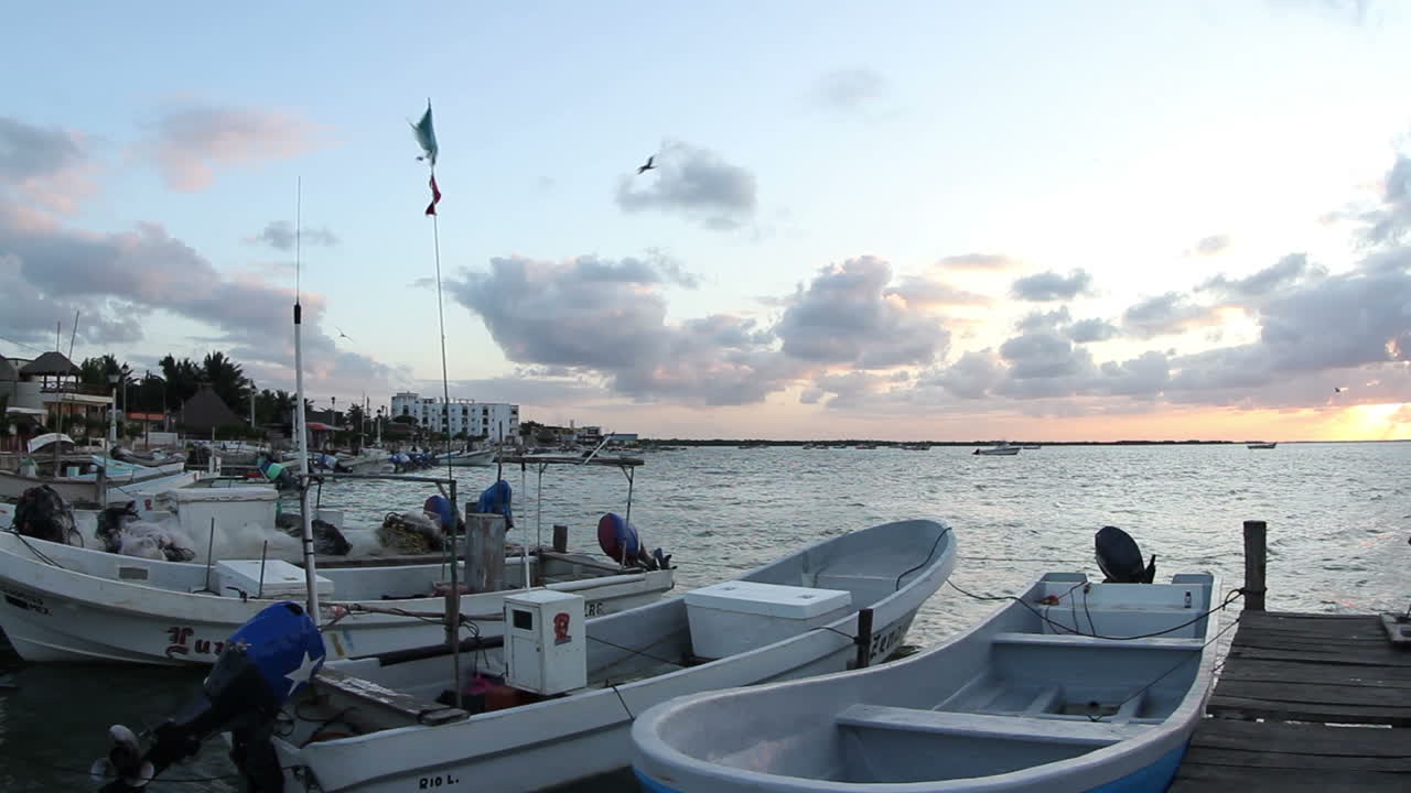 largartos 보트 비디오 00