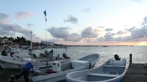 Video-Del-Barco-Largartos-00