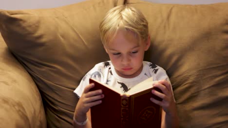 Niño-Leyendo-Un-Libro-Solo-En-El-Sofá