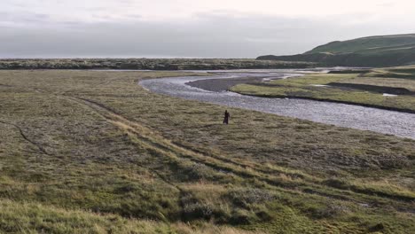 carefree explorer running in field along river