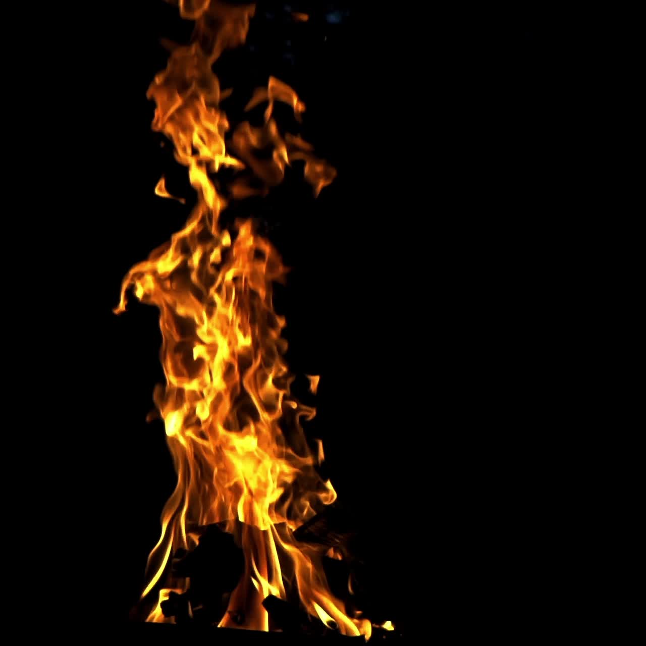 Fire flame on the black background. Fire in darkness. Slow motion