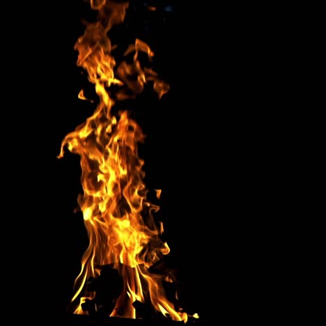 fire flame on the black background. fire in darkness. slow motion
