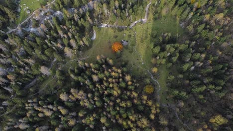 drone en el bosque en val di mello, italia