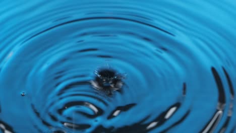 zoom of a drops of water falling in blue water. beautiful circular wave, ripple.