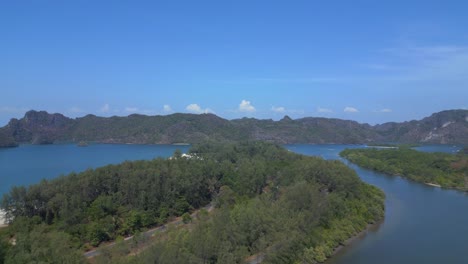 manglares vista del río vegetación exuberante cielo nublado