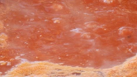 Boiling-tomato-sauce-close-up-shot