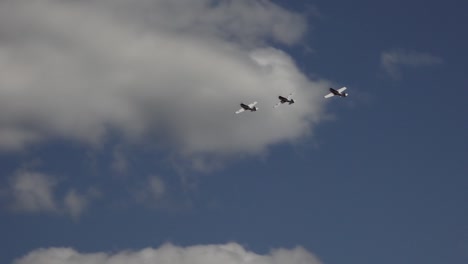 accidente de avión privado
