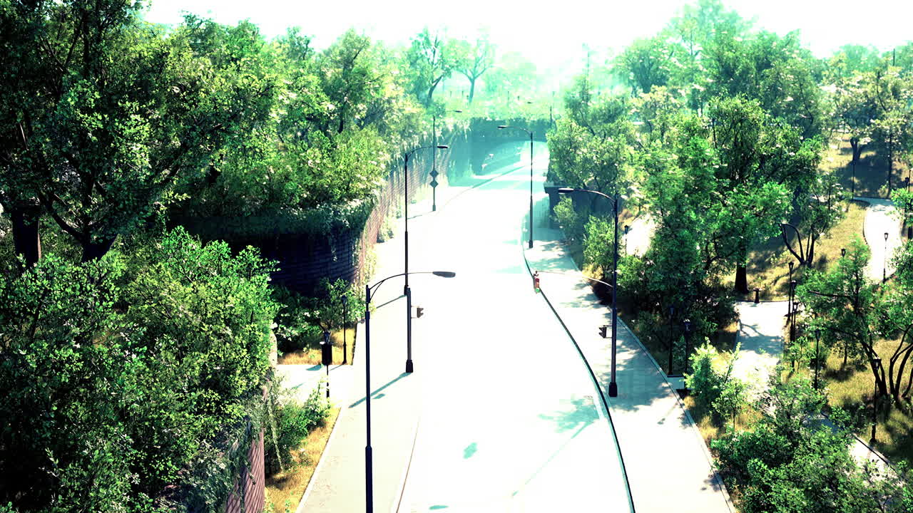 시골 아스팔트 도로와 녹색 나무 자연 풍경 여름에