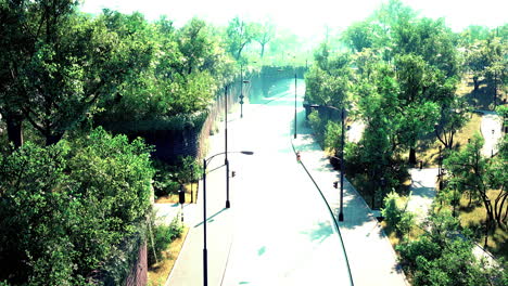 country asphalt road and green trees nature landscape in the summer