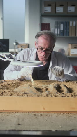 paleontologist examining fossil footprints