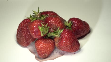 las fresas se pudren sobre un fondo blanco. lapso de tiempo