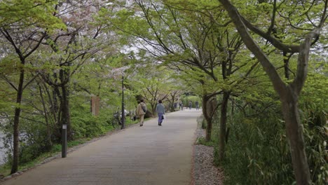 uji riverside park, springtime in kyoto japan on warm day