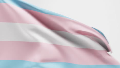 un video de una chica transgénero agitando la bandera del orgullo sobre un fondo blanco, 3d