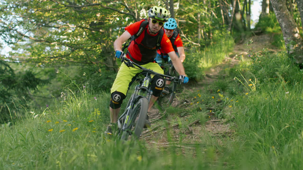 Two Mountain Bikers on a Forest Trail