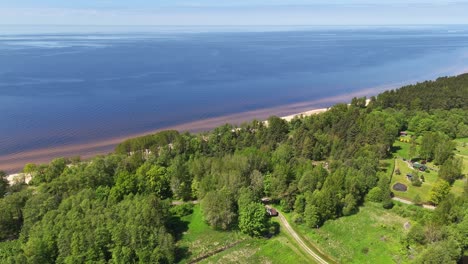 forest full of trees near latvia beach of baltic sea at tuja village, aerial shot