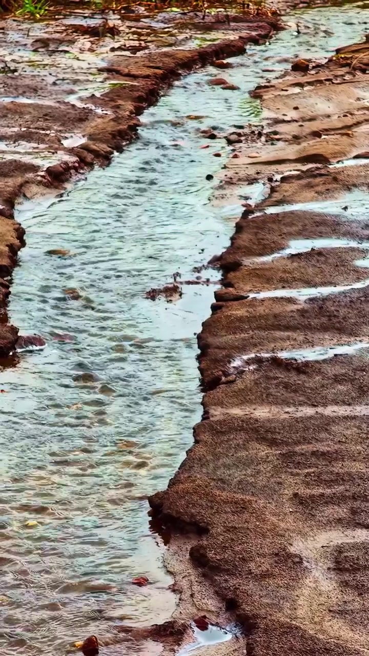 Un piccolo ruscello con acqua limpida scorre dolcemente su sponde fangose in un ambiente naturale.