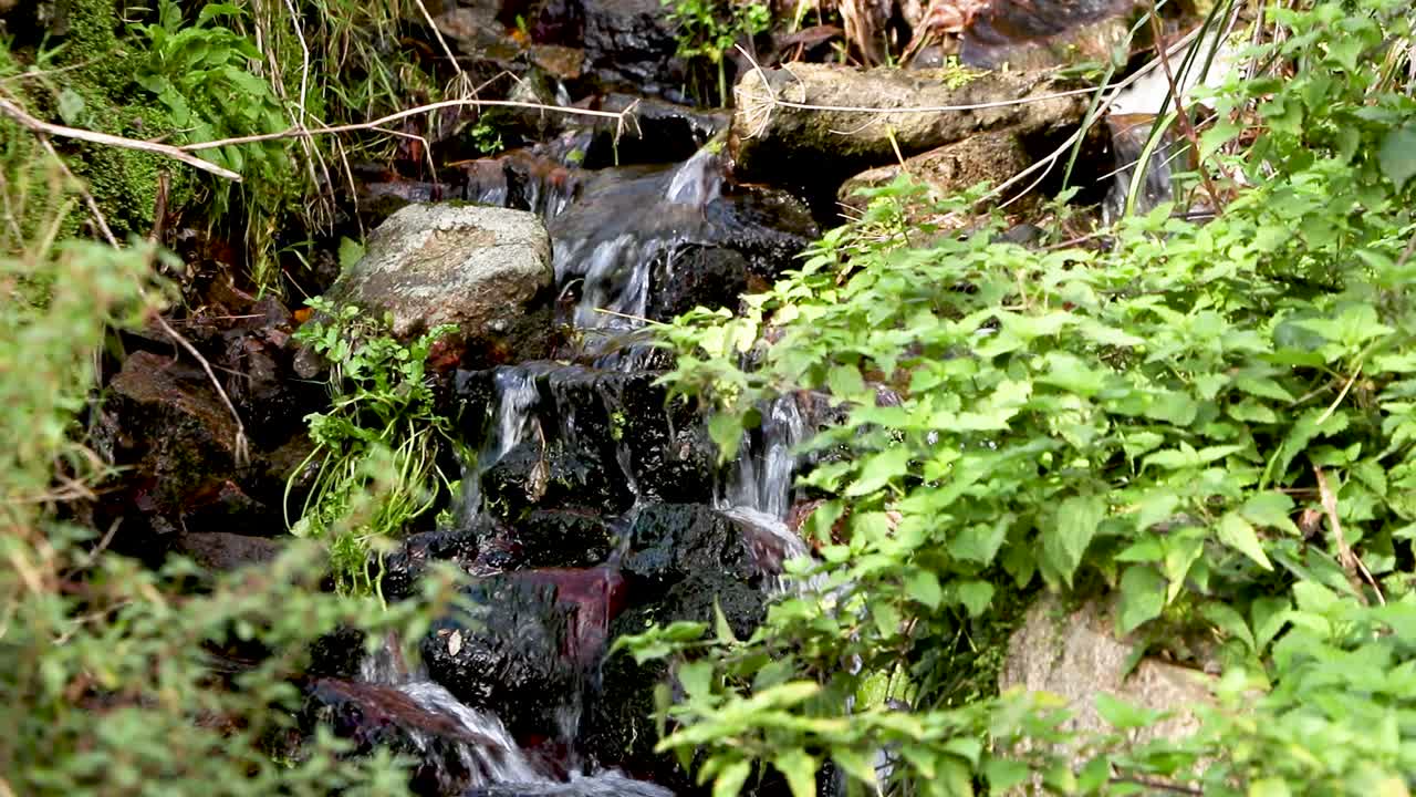 Small cascading waterfall in a country setting amidst woodland and green foliage with clear water,small rocks and relaxing atmosphere