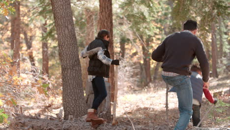 Father-with-two-kids-walking-together-in-forest,-back-view