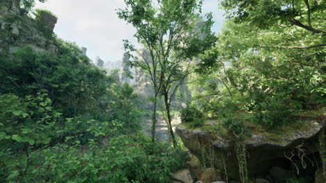 a beautiful view of a lush green forest with a path leading through it