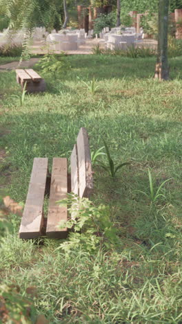bancos de madera en un parque de hierba