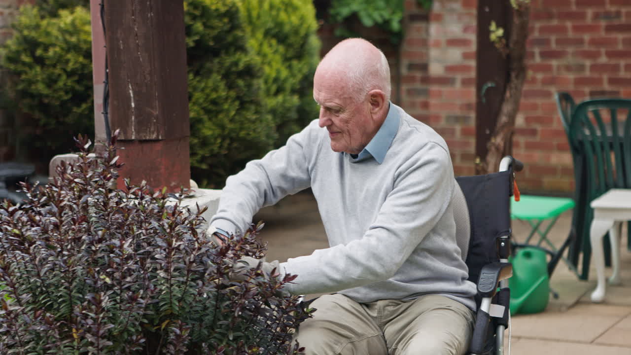 Elderly man gardening in his backyard