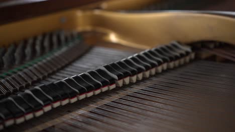 view inside a beautiful brown grand piano, hammers and strings moving as pianist plays classical music