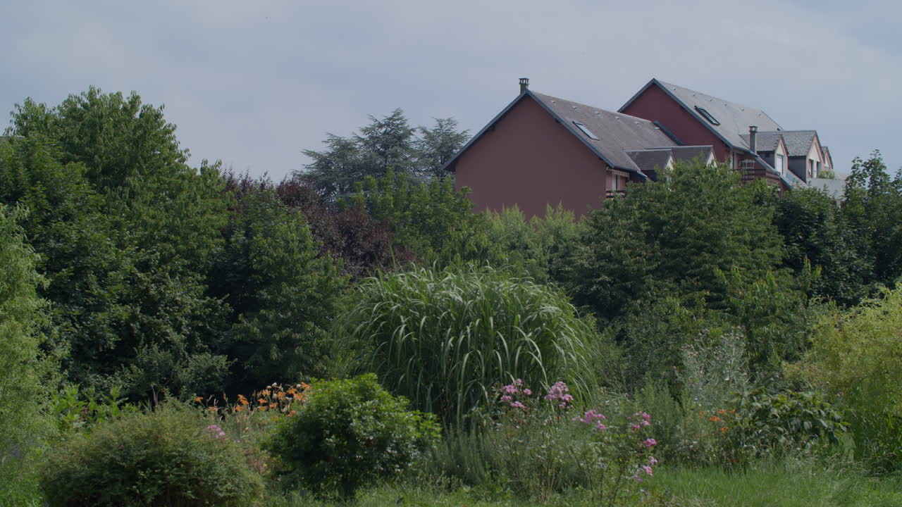 Red House Hidden in Lush Greenery