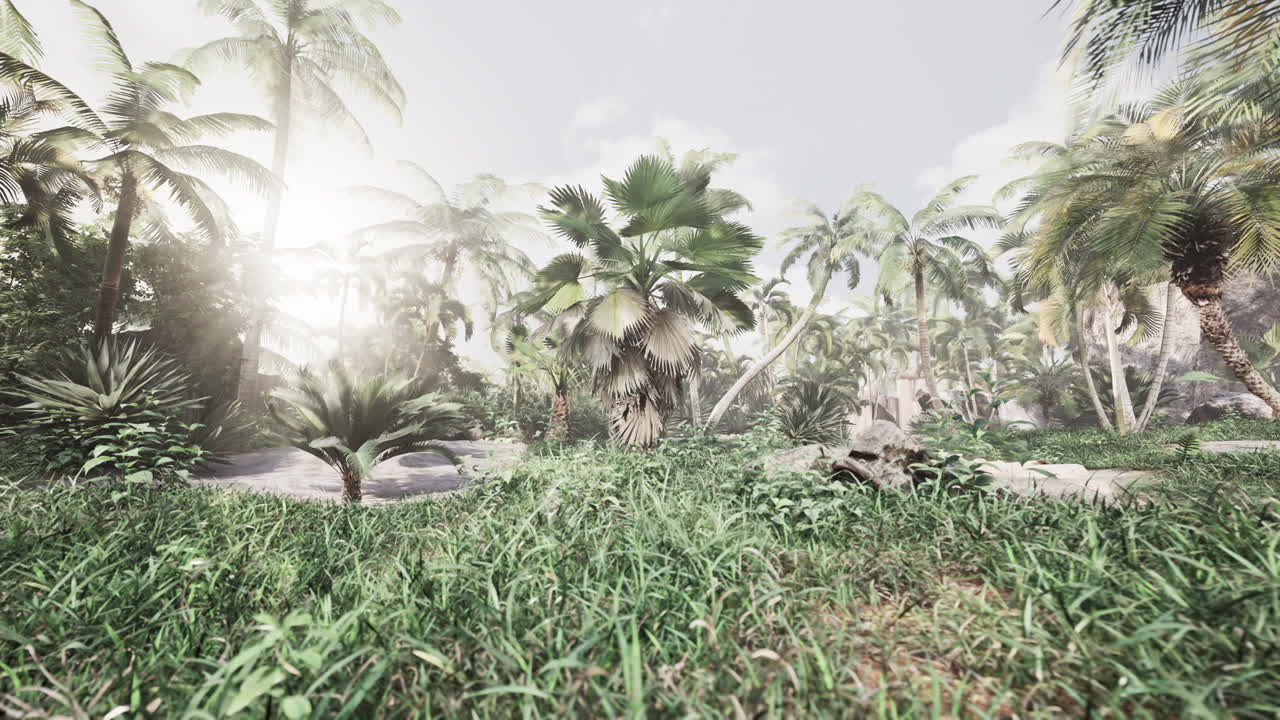 아름다운 정글 정원에서 아침 빛