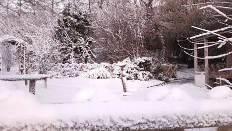 Schneetag-In-Meinem-Heimatdorf