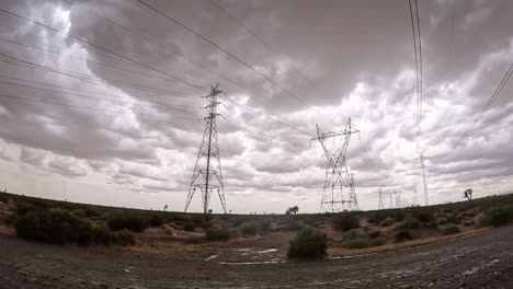 Blick-Aus-Dem-Beifahrerfenster-Auf-Joshua-Bäume-In-Der-Mojave-Wüste-An-Einem-Regnerischen-Tag