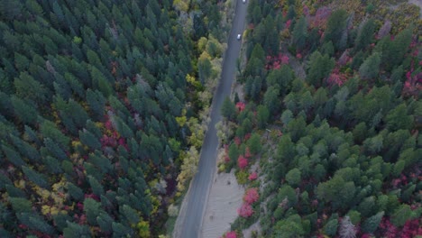 valley road with pretty autumn fall colors in utah's wasatch mountains