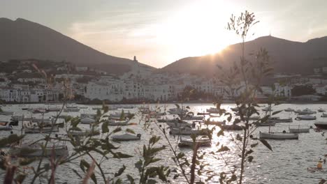 luxurious boats floating on spanish harbor during golden hour. roses, costa brava