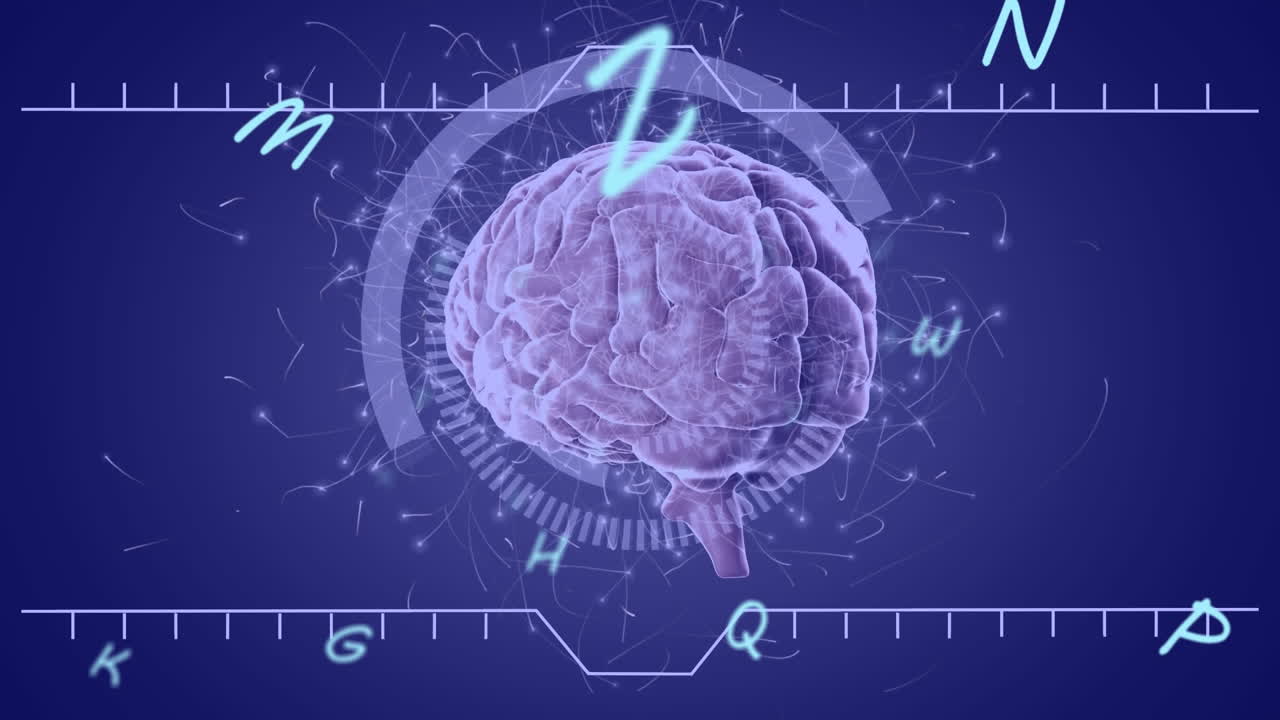 Animation of data processing over brain
