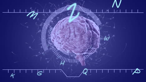 animación del procesamiento de datos sobre el cerebro