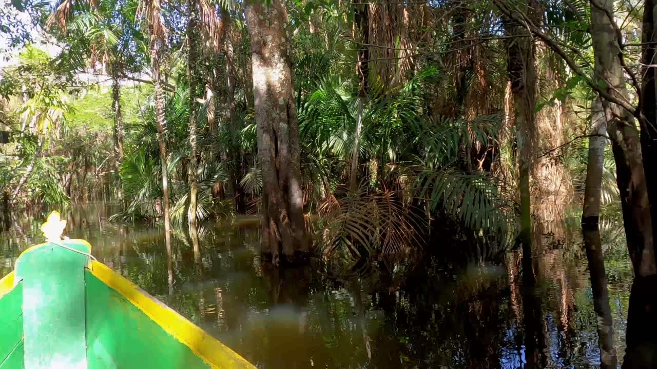Boat Sails Exploring in First Person at Alter do Chao Enchanted Forest Par&aacute; State Brazil, Amazon Jungle