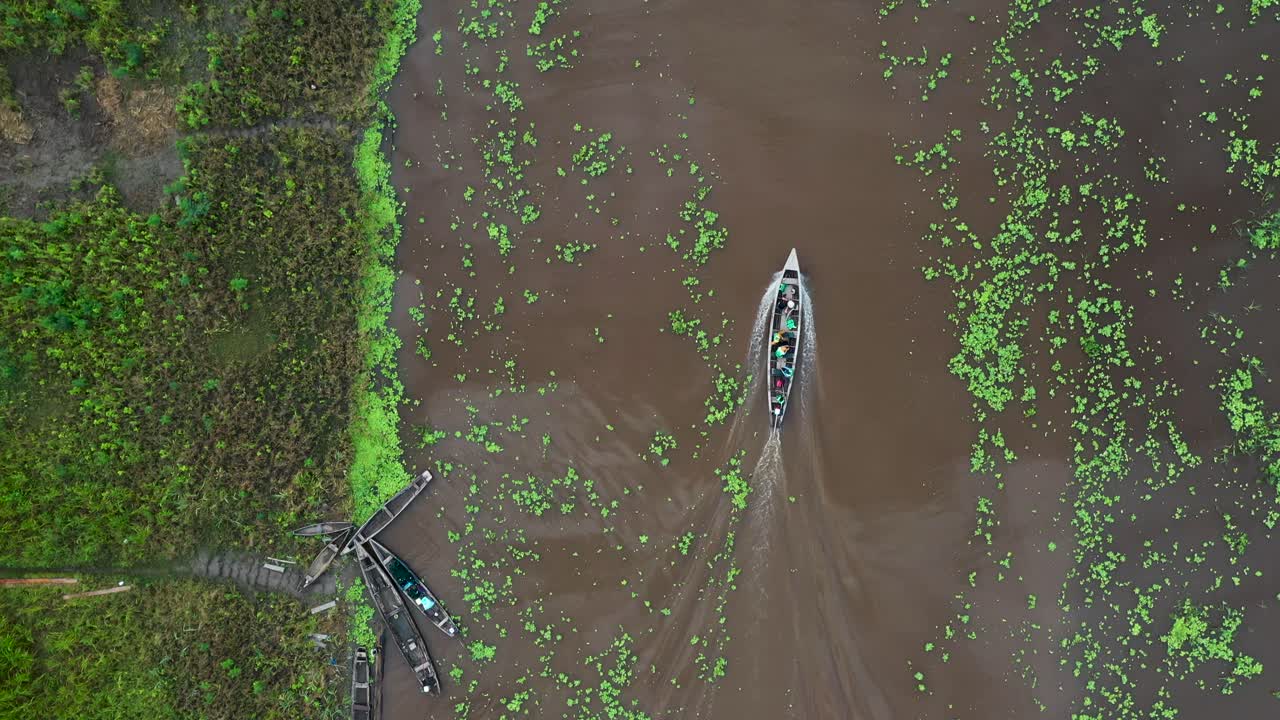 Motorboat Navigating the Amazon River Water and Lush Jungle Greenery - Aerial Top Down View