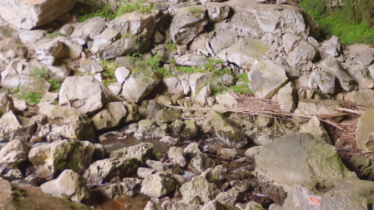 Rocky terrain in Mas d'Azil cave, France, with natural greenery
