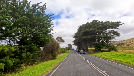 a 30-second journey showcasing lush landscapes and coastal views along the great ocean road in australia