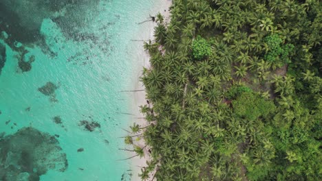 aerial top view of zapatilla cay in bocas del toro, panama_4k