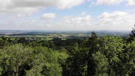 aerial view of a lush green forest in the british countryside, revealing a picturesque landscape of rolling hills and fields under a cloudy sky